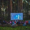 В Академическом появился лесной кинотеатр под открытым небом. Каждый вечер в...