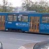 На улице 8 марта трамваи встали из-за ДТП на путях 🇷🇺 Источник: ЧП Екатеринбург