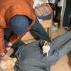 Житель Новосибирска убил бабушку и четырех её кошек