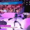 Во Франции в телепередаче мужик устроил боксёрский поединок с...