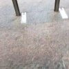 Неравнодушная москвичка попыталась пресечь незаконную торговлю, но не вышло