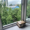 В Абакане возбуждено уголовное дело по факту гибели малолетнего ребенка в...