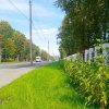 Жителей Новосибирска призывают бережно относиться к новым газонам