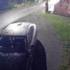 Медведь пытался напасть на мужчину в селе Белый Яр Ачинского округа Косолапый...