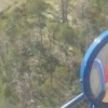 В Красноярском крае вертолёт помешал медведю поймать оленей. В Енисейском...