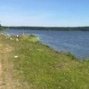 Кавголовское озеро завалили мусором после наплыва отдыхающих
