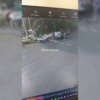 40-метровое дерево рухнуло на четырёх человек в провинции Западная Ява в Индонезии