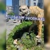 🗣Во Владивостоке на Тигровой отбитый вандал беспричинно снес голову статуе...