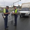 В Екатеринбурге на пешеходном переходе на ул. Бардина «Газель» сбила двух...
