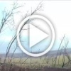 Российский FPV-дрон почти поразил иностранного бойца ГУР....