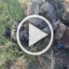 Курское направление. 🇷🇺 Подпишись - Хроники СВО