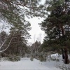 По данным Хакасского гидрометцентра, в республике 16...
