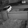 Медведи выходят к людям в Иркутской области