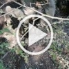 Одно из направлений — уничтоженные ВСУшники.