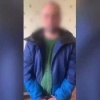 Домашняя плантация на Мате Залки: красноярец вырастил почти сотню кустов...