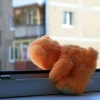 🚑В Приморье годовалый ребёнок оперся на москитную сетку и выпал из окна.