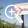 В Новосибирской области клещи уже покусали 904 человек