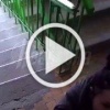 В ДНР мать с младенцем живет под угрозой убийства — агрессивная соседка с ножом терроризирует их уже 8 месяцев