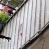 Самый милый житель Москвы со своим собственным небольшим окном на балконе...