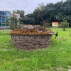 Стоянка самокатов на Кирова. 🇷🇺 Источник: ЧП Хакасия