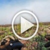 ❗️На видео запечатлена картина после ожесточённых...