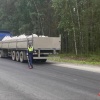 Под Асбестом грузовик сбил насмерть мужчину, который шел по пешеходному переходу
