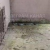 Огромного ужа заметили возле Почтовой, 142
