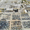 У Ford появился самый необычный сотрудник — ястреб Эль-Чарро, который работает на заводе в Мексике и гоняет голубей из цехов.