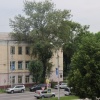 25 июля в Абакане будет временно перекрыто движение в районе дома по улице Щетинкина, 13