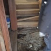 Грибок, гниль и разруха: в Иркутске жильцы живут в опасных условиях