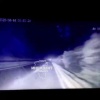 На старой юргинской трассе — много диких животных