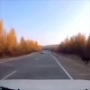 Крупный лось в Пуровском районе ЯНАО избежал ДТП эффектно прокатившись по...
