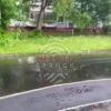На улице Димитрова, 36 появился тротуар с препятствиями