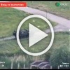 Российские военные угнали бронетранспортер прямо на глазах у украинских военных.