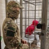 Житель Хакасии арестован в Ульяновской области за подпольную нарколабораторию...