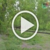 Лосяшей снова заметили недалеко от Новосибирска. Трое...