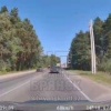 Новые Дарковичи (Черёмушки), в полдень косуля перепрыгивает дорогу. В этой...
