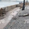 На Дворцовой набережной пьяный водитель протаранил парапет.