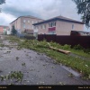 Ураганный ветер повалил деревья В Таштыпе ветер повалил множество деревьев на...