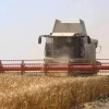 В Канском округе стартовала уборочная кампания 3 сентября к уборке урожая...