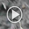 ❗️На одной из российской позиции.
