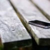 Жительница Саяногорска похитила телефон, забытый подростком на лавочке
