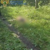 На юго-востоке Москвы в лесополосе обнаружено тело мужчины с множеством...