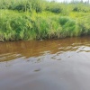 Пять человек утонули за один день в Иркутской области Полиция региона...