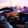 🚗 С 1 сентября в России изменятся правила допуска к управлению автомобилем