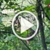 Допрыгался: кенгуренок Сидней вернулся в ростовский зоопарк