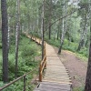 На «Красноярских Столбах» обновляют Каштаковский маршрут. Со стороны...