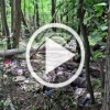 Ещё пачка дохлых хохлов заняли Курскую область с позиции силы в канаве.
