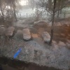 Зима пришла сразу в несколько регионов России.