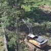 Земельный участок в центре Иркутска готовят под застройку и валят взрослые...